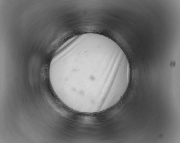 X0000111660165200908071442