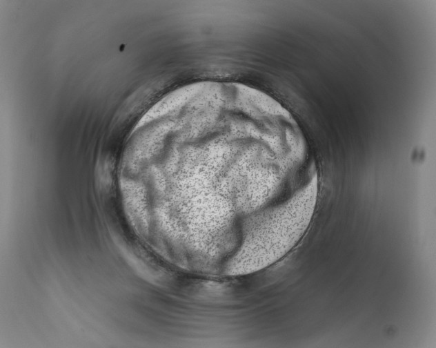 X0000111660166200908071442