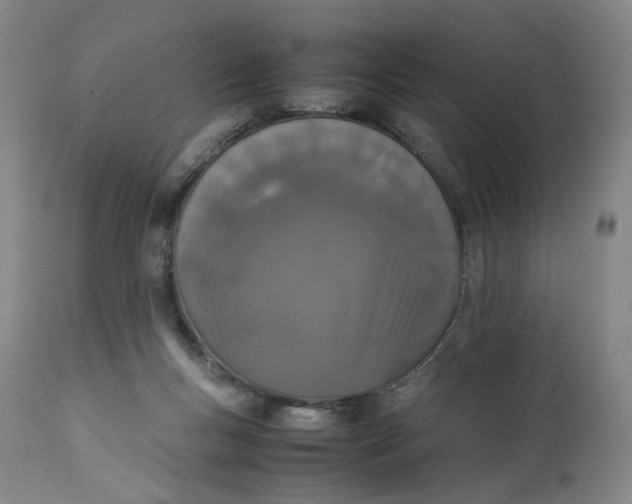 X0000111660167200908071442