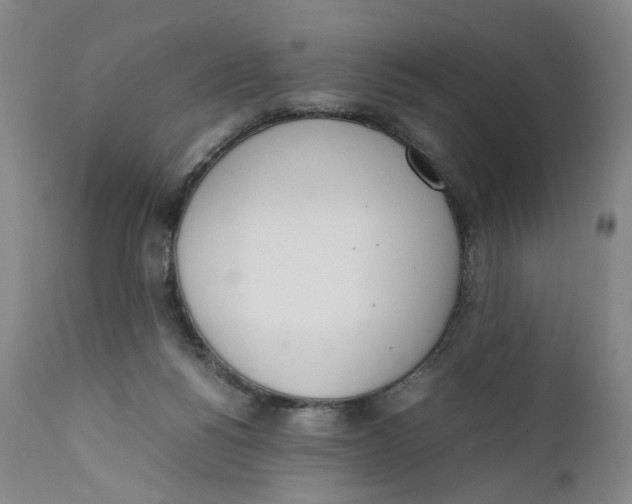 X0000111660168200908071442