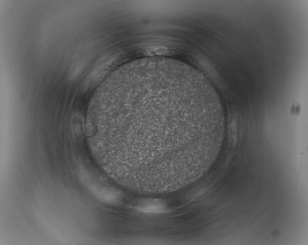 X0000111660169200908071442