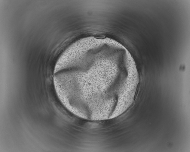 X0000111660170200908071442