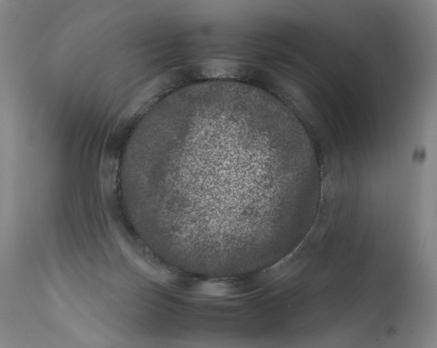 X0000111660171200908071442