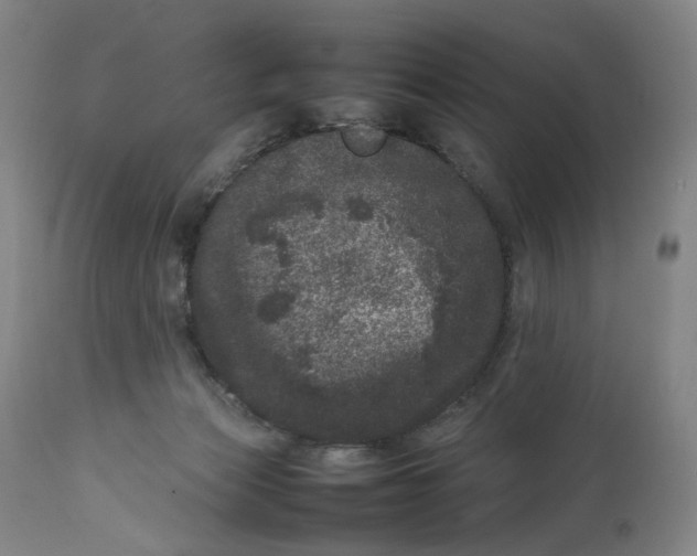 X0000111660173200908071442