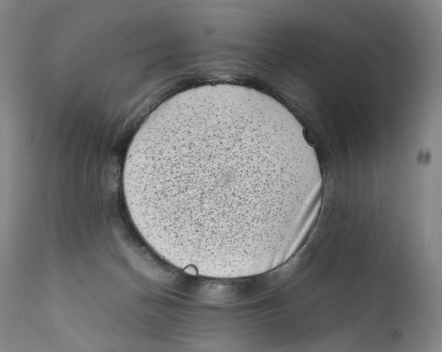 X0000111660174200908071442