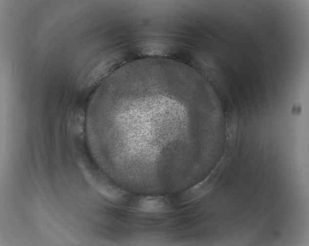 X0000111660175200908071442