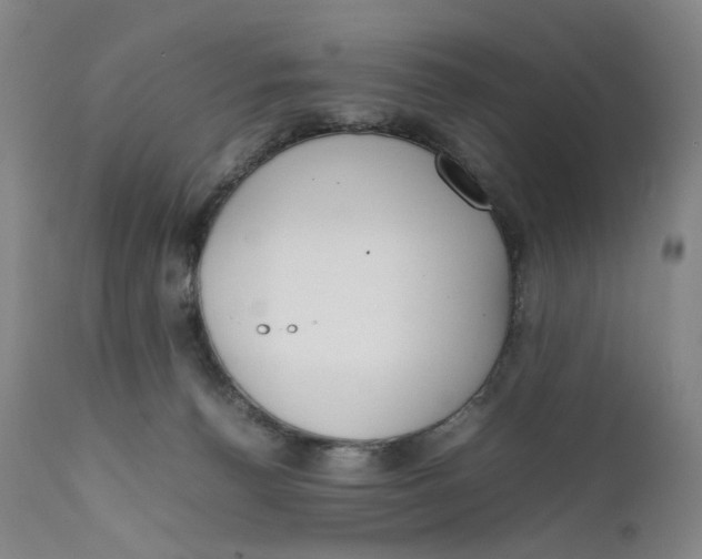 X0000111660176200908071442