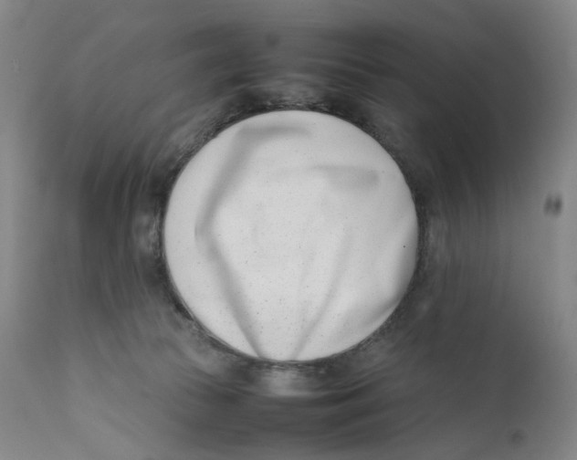 X0000111660177200908071442