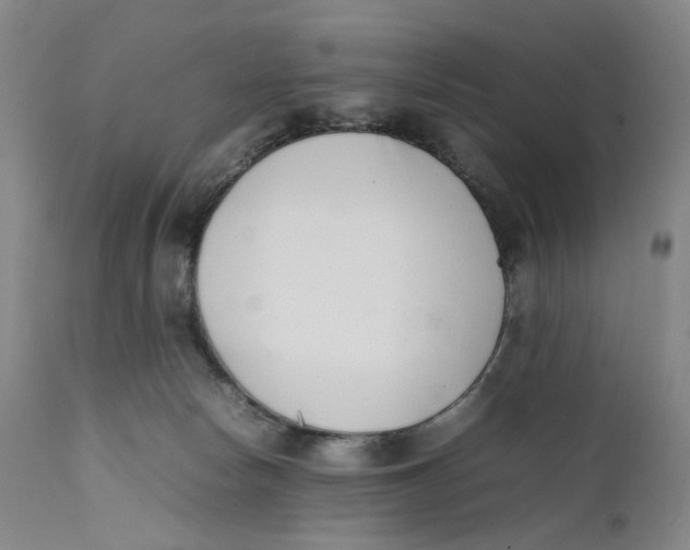 X0000111660178200908071442