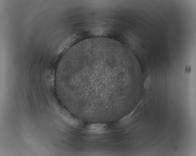 X0000111660179200908071442