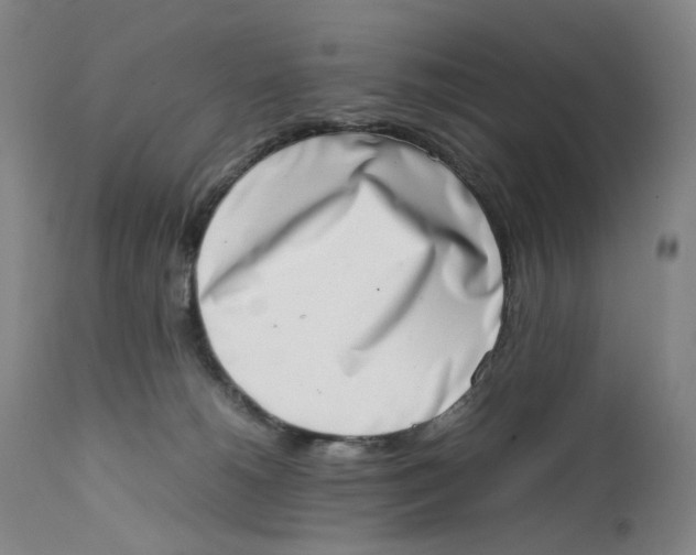 X0000111660180200908071442