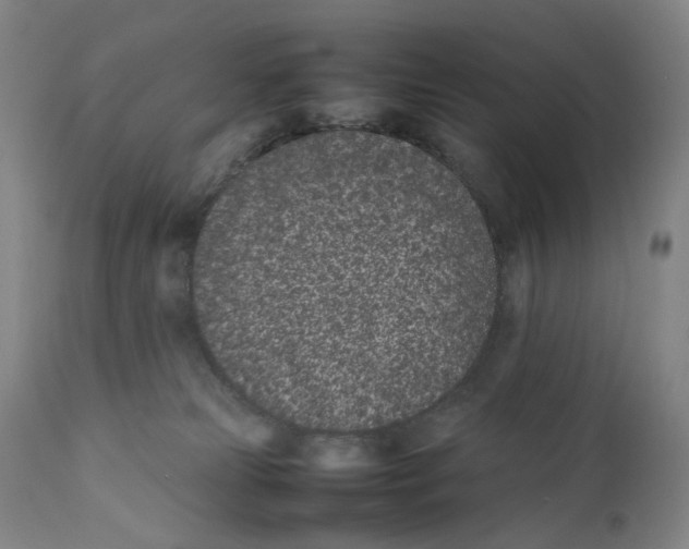 X0000111660181200908071442