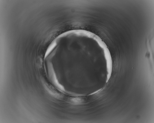 X0000111660183200908071442