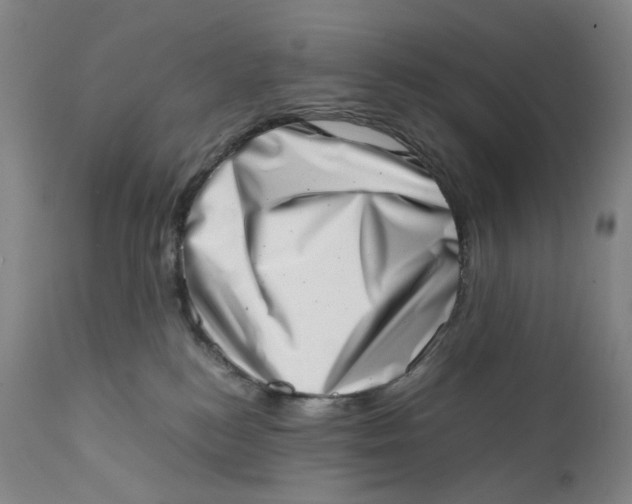 X0000111660184200908071442