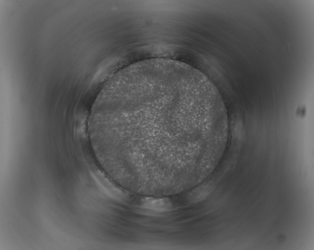 X0000111660185200908071442