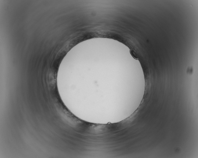 X0000111660186200908071442