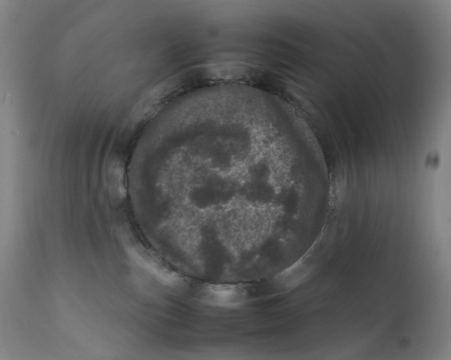 X0000111660187200908071442