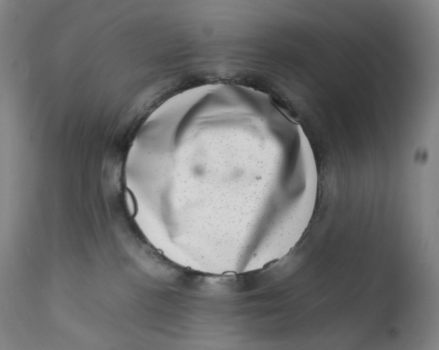 X0000111660188200908071442