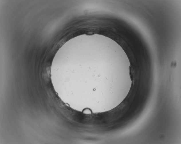 X0000111660190200908071442