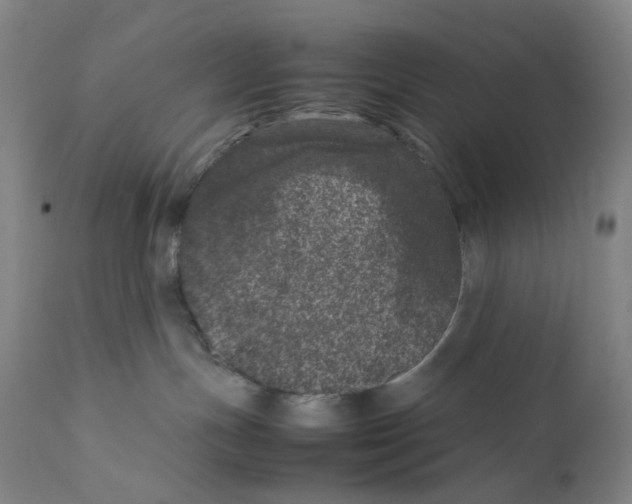 X0000111660191200908071442