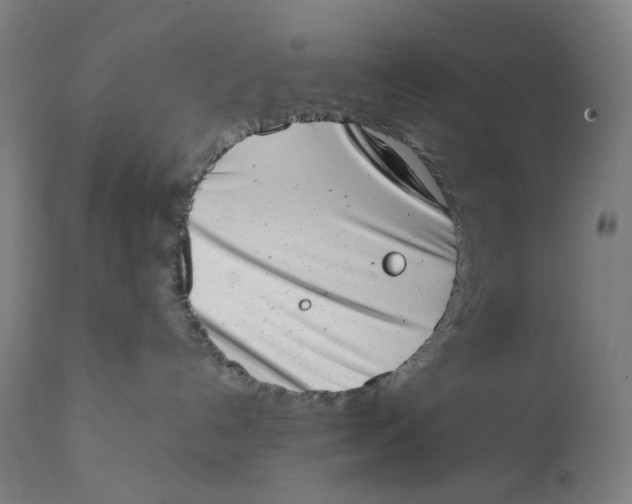 X0000111660192200908071442