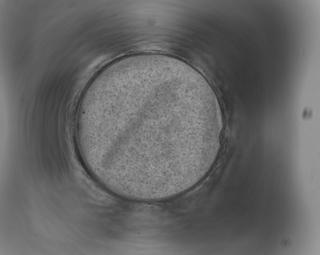 X0000111660193200908071442