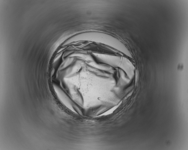 X0000111660195200908071442