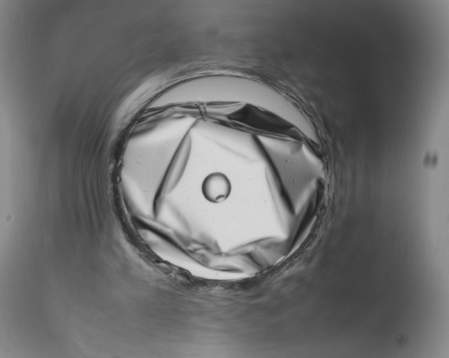 X0000111660197200908071442