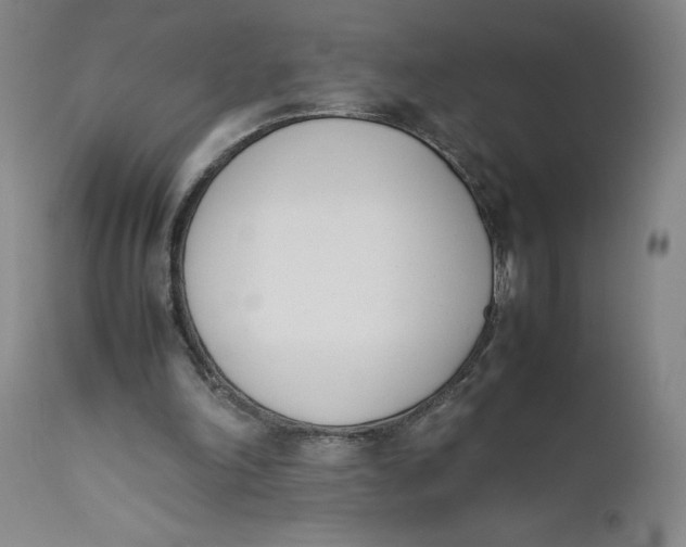 X0000111660198200908071442