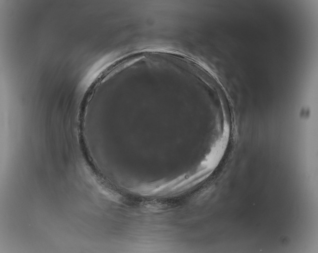 X0000111660199200908071442