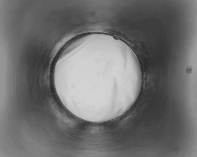 X0000111660200200908071442