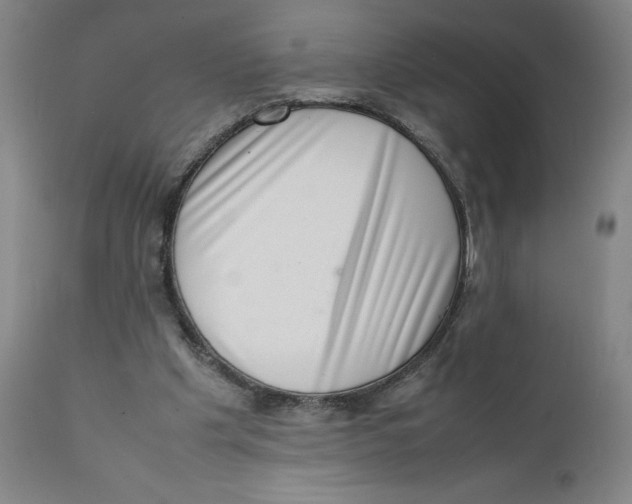 X0000111660201200908071442