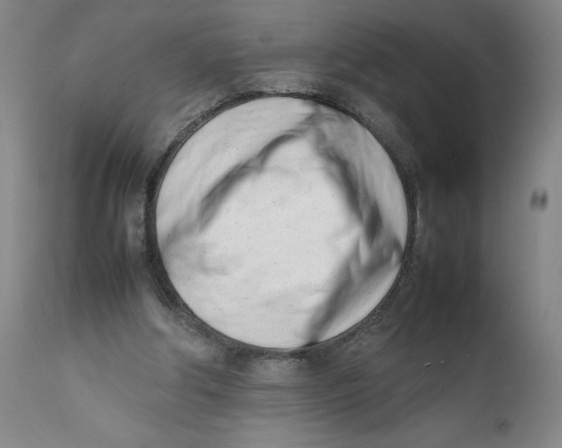 X0000111660202200908071442