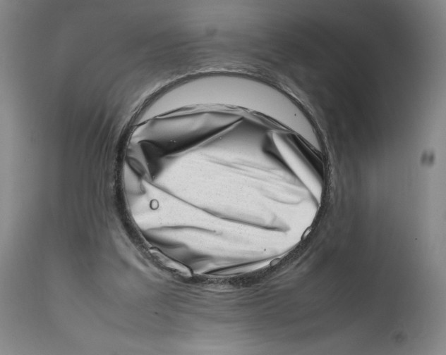 X0000111660203200908071442