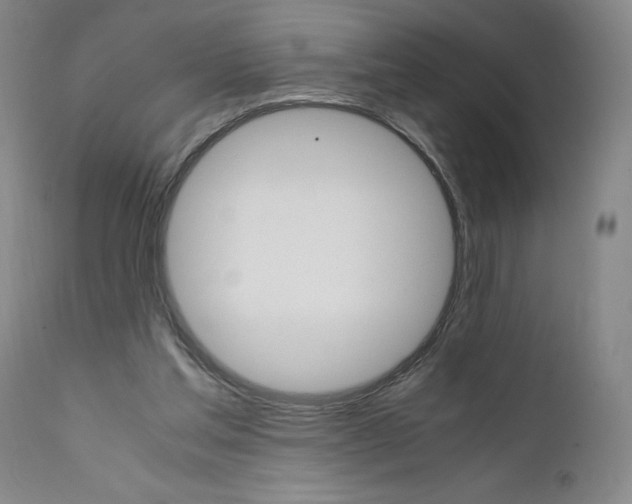 X0000111660205200908071442