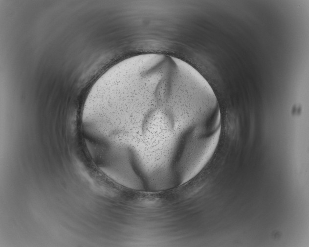 X0000111660206200908071442