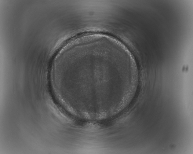 X0000111660207200908071442