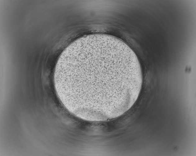 X0000111660209200908071441