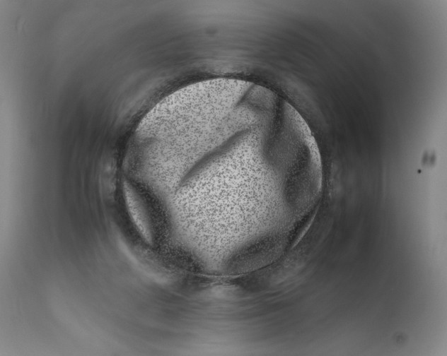 X0000111660210200908071441