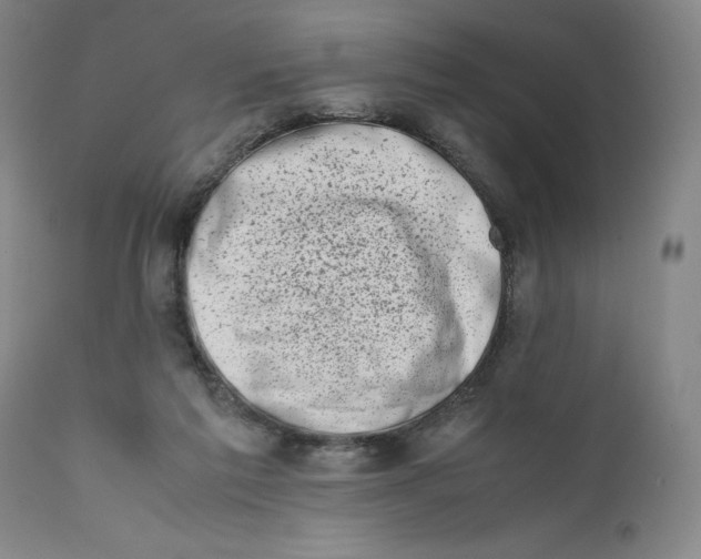 X0000111660213200908071441