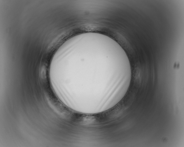 X0000111660214200908071441