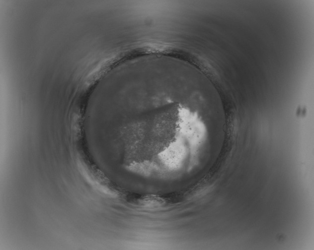 X0000111660215200908071441