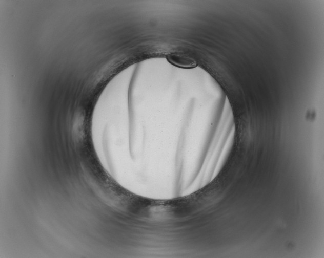 X0000111660216200908071441