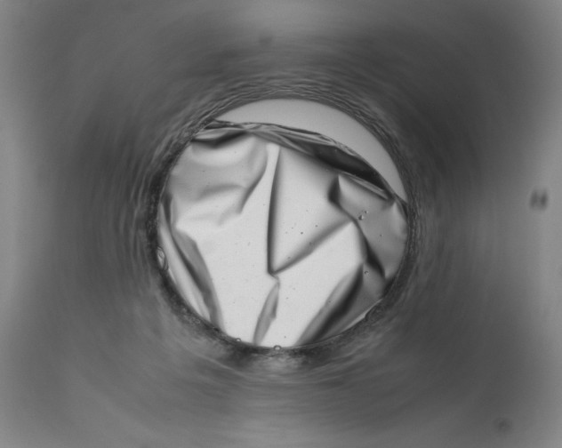 X0000111660217200908071441