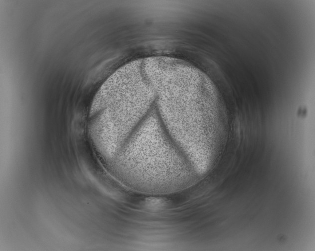 X0000111660218200908071441