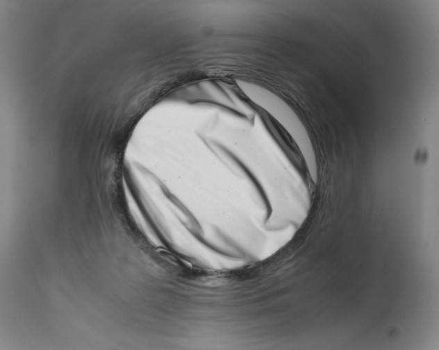 X0000111660219200908071441