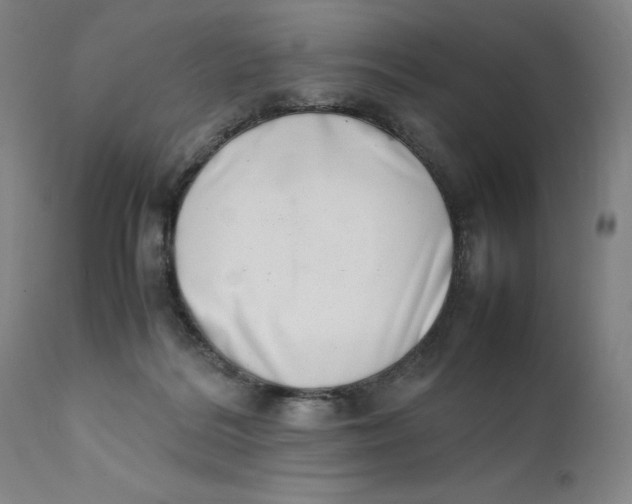 X0000111660220200908071441