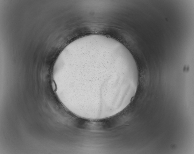 X0000111660221200908071441