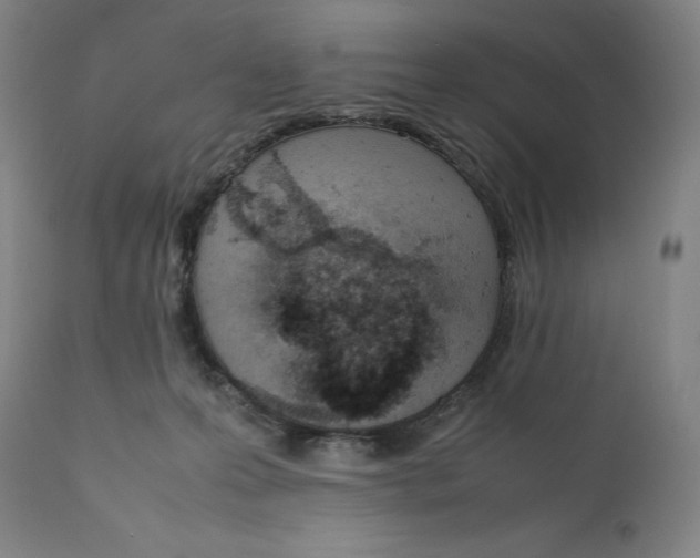 X0000111660223200908071441