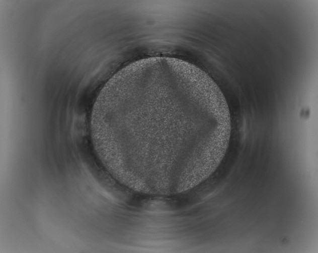 X0000111660224200908071441